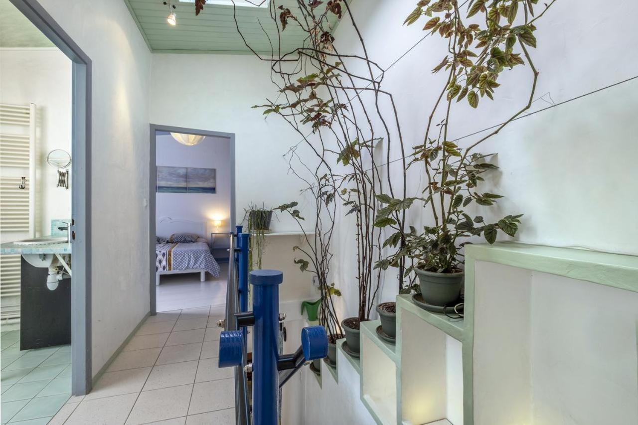 Les Volets Bleus T3 De 80 M2 Patio Privatif Rochefort (Charente-Maritime) Exterior foto